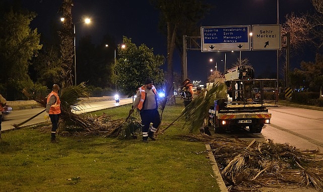 Büyükşehir’den gece budama çalışması